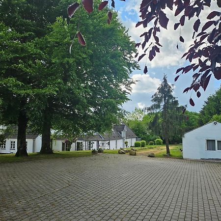 Trandafir Guesthouse Egtved Exterior foto